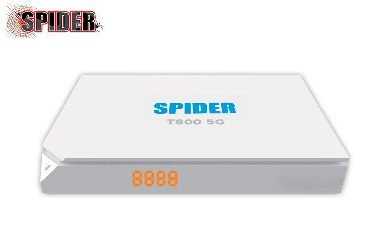 spider 02-06-2024 t800.jpg